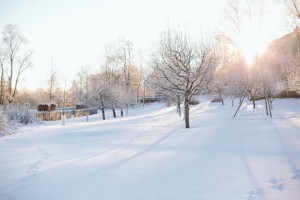 Vintern vid Karlslund